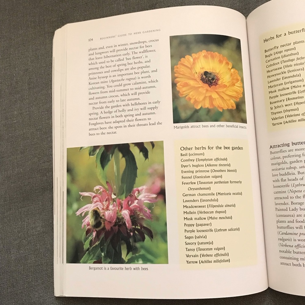 Beginners' Guide to Herb Gardening Book - Picture 6 of 8